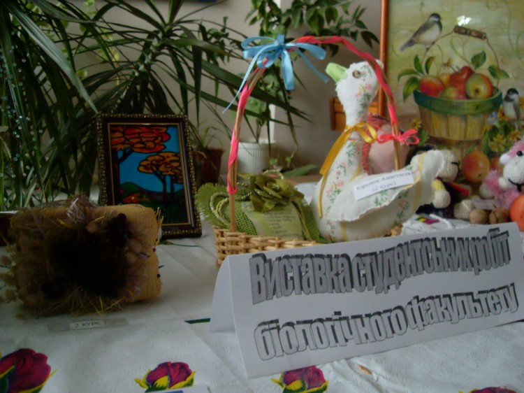 VLUU L110, M110  / Samsung L110, M110