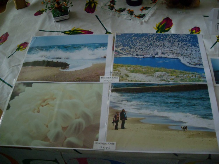 VLUU L110, M110  / Samsung L110, M110