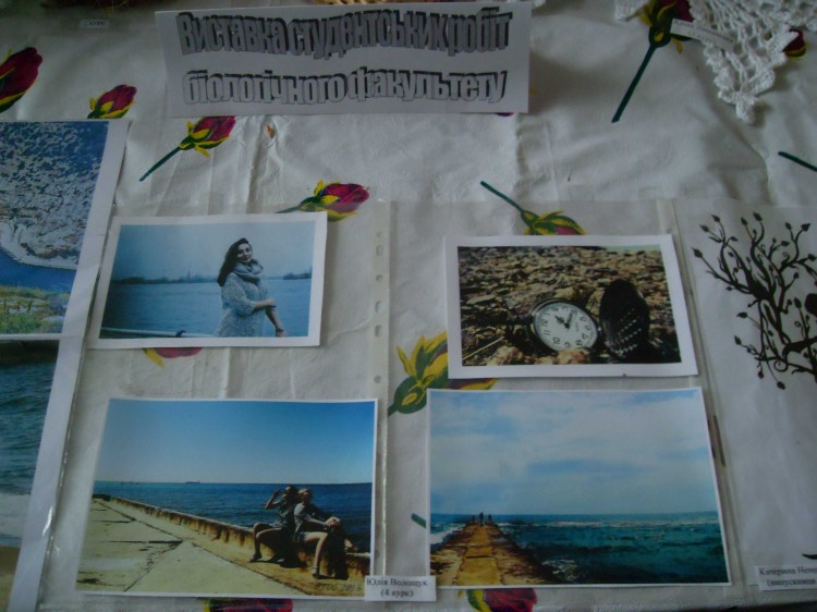 VLUU L110, M110  / Samsung L110, M110